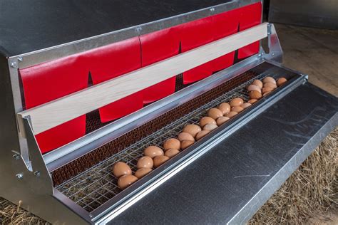 metal egg laying boxes|nesting eggs for laying chickens.